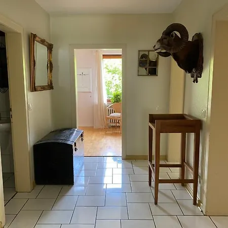 Apartment Grosszuegige Monteurwohnung *