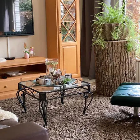 Appartement Grosszuegige Monteurwohnung *