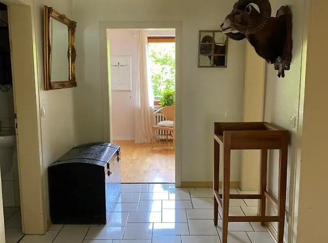 Apartment Grosszuegige Monteurwohnung *